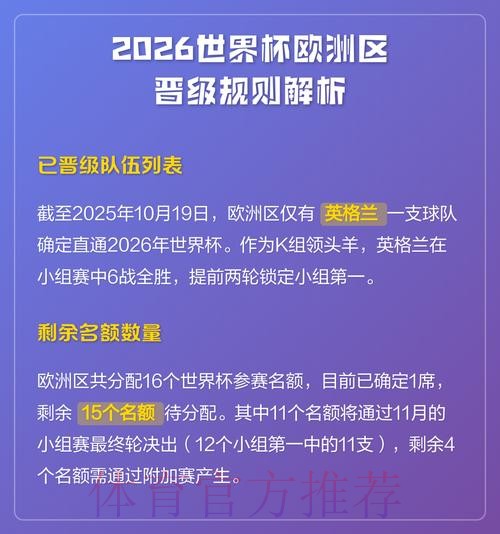 全面解析世界杯平台服务与功能